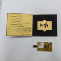 Kartu kredit USB 128GB 64GB 32GB 16GB 8GB 4GB 2GB 1MB, stik memori USB flash Drive bisnis massal pabrik
