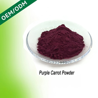 Poudre de carotte violette HDK Anthocyanes Colorant naturel Antioxydant Poudre végétale Fournisseur en gros