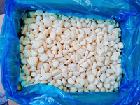 OEM/ODM de Alta Calidad, Venta Caliente, Fábrica China, Alimentos Vegetales Congelados para Venta al por Mayor y al por Menor, Ajos Congelados IQF en Rodajas y Puré