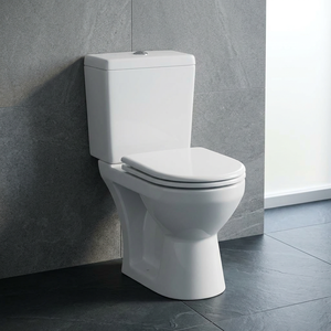 โถสุขภัณฑ์เซรามิคแบบสองชิ้น ระบบ Washdown พร้อมท่อน้ำทิ้งแบบ P-Trap สำหรับห้องน้ำ ขายส่ง - Product Image 1