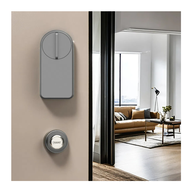 european smart lock