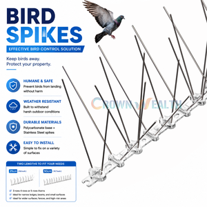 Petits oiseaux <span class=keywords><strong>corbeaux</strong></span> pigeon <span class=keywords><strong>Pics</strong></span> contrôle en acier inoxydable ss 201 304 316 broches en plastique <span class=keywords><strong>anti</strong></span> pointes d'oiseaux - Product Image 1