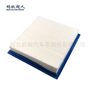 Filtre à air Coolway 04891916AA pour Dodge, pièce de rechange - Product Image 2