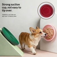 Bol anti-glouton pour chien en silicone platine de qualité alimentaire, pliable et portable, avec ventouse, pour usage intérieur/extérieur, en stock, vente en gros