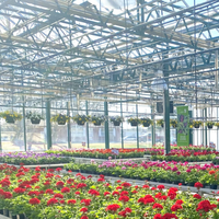 Serre chinoise intelligente complète Venlo avec système d'automatisation et accessoires pour la culture de fleurs et de tomates
