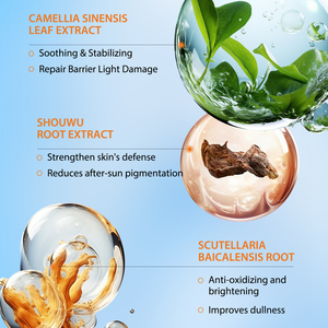 <span class=keywords><strong>Spray</strong></span> Olio <span class=keywords><strong>Solare</strong></span> SPF <span class=keywords><strong>50</strong></span>+ Proteggi la Tua Pelle dai Danni del Sole, Fornitore Private Label OEM ODM 100ml MOOYAM - Product Image 6