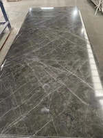 Panneaux de revêtement de douche en PVC imitation marbre, imperméables et résistants aux UV, 1220*2440 mm