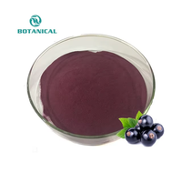 B.c.i Supply Instant Zwarte Bessen Sap Concentraat Poeder Zwarte Bessen Drank Poeder Extract
