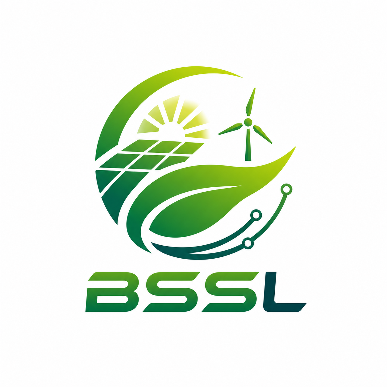 Shenzhen Baisisaile Technology & Electronics Co., Ltd. logo