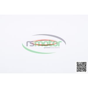 แหวนซีล RS-223383 Jenbacher สำหรับชิ้นส่วนเครื่องยนต์ของเครื่องจักร - Product Image 1