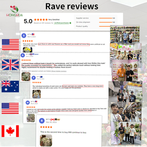 HH Boule Fleurs Gypsophile Mariage artificiale all'ingrosso Gypsophila rosa vero tocco fiore Baby alito centrotavola per parete - Product Image 4