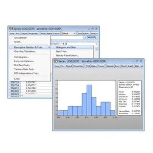 Logiciel de traitement des données de série temporelle XinLianQIDUO pour EViews 13, utilisé par les grandes organisations, version en stock - Product Image 6