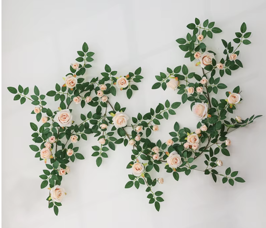 vigne rose couleur champagne améliorée