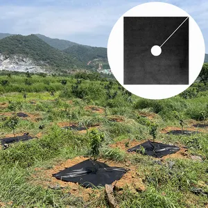 0.8m X 0.8m Agricultural Biodegradable Mulch Film Weed Mat Control Durable Square Shape Agricultural Black Film