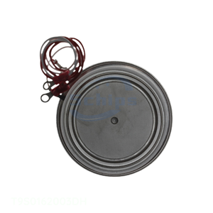 SCR MODULE 1.6KV 3142A TO-200 Electronic Components One-Stop Order T9S0162003DH Thyristors TO-200 Variation In Stock - Product Image 1