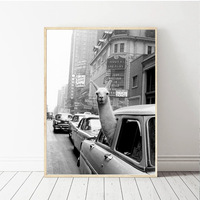 Póster Vintage de Llama en Blanco y Negro, Fotografía Retro de Animales, Pintura en Lienzo sin Marco para Decoración del Hogar y Sala de Estar