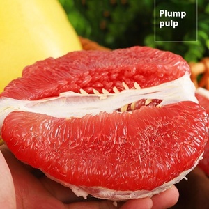 <span class=keywords><strong>Fujian</strong></span> Pinghe Guanxi kırmızı kalp Pomelo süper tatlı taze mevsimsel meyve ince cilt kırmızı et çiftlik kullanımı için benzer Mango greyfurt - Product Image 2