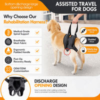 Harnais de soutien dorsal professionnel et durable pour chien, en polyester respirant, solide, PETSGUARD, écharpe de levage pour animaux de compagnie, récupération post-opératoire, arthrite