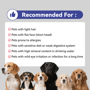 कुत्तों के लिए निजी लेबल वाले आंसू दाग दाग हटाने और एंटीऑक्सिडेंट मिश्रण विटामिन सी ल्यूटिन के साथ पूरक - Product Image 5