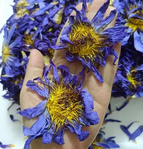 Lan lian hua tisana naturale egiziana rilassante tè ai fiori di loto blu essiccato
