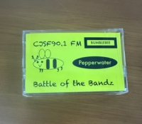 Cassettes audio couleur personnalisées en gros avec carte J et emballage en étui transparent – Formats WAVE/CDDA/MP3