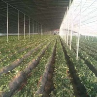 Nouvelle conception PVC hydroponique gouttière système de ravins petit matériau PE pour la culture de fraises dans une serre commerciale