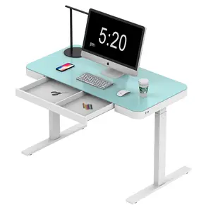 Luxury 2 Leg Electric Sit Stand Up Single Motor Standing Desk Electric Height Adjustable Computer Desk Frame White Office