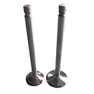 DLV 卡车发动机零件 DS9 DSC9 进气排气阀，适用于 2/3 系列 92H/92M 发动机，1 年保修，尺寸 51*11*162.5 毫米 - Product Image 1