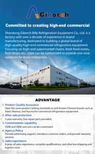 Tùy Chỉnh Nhỏ Thương Mại Siêu Thị Ice Cream Gelato Hiển Thị Nhanh Blast Sâu Ngực Tủ Đông Container Cửa Kính Showcase 5 Sao - Product Image 6