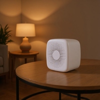 Machine à bruit blanc 30 sons apaisants, thérapie sonore rechargeable pour le sommeil en voyage pour bébés et adultes, mini ventilateur sonore naturel