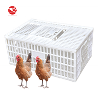 Cage à poulets en plastique 900*600*405 mm, prix des cages à volailles pour élevage de poulets de chair