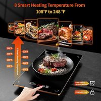 Plateau chauffant électrique modulaire pour aliments, planche isolante, planche chauffante pour plats, planche de maintien au chaud, accessoire pour la maison