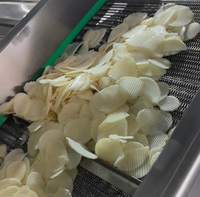 Mini, medium en grote capaciteit productielijn voor aardappelchips, commerciële automatische machine voor het maken van chips