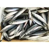 Eksportir Ikan Mackerel Pasifik Makanan Laut Beku dari Tiongkok