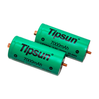 Cellule cylindrique Lifepo4 32700 7Ah 2C 3.2V, batterie haute puissance pour véhicule électrique et système de stockage d'énergie solaire