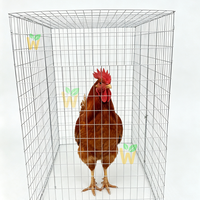 Cage pour volailles de combat 1x1.50x1.50m, durable et stable, enclos volant pour coqs, cage à poulets en grillage à mailles carrées de 5x5 40 pouces, économique