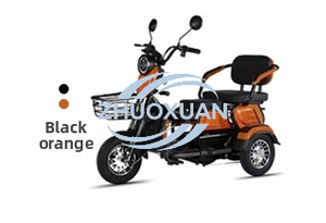 Passenger & Cargo Dual-Use 3 <b>Wheel</b> Leisure Electric Tricycle for Adults and Kids - Product Image 4
