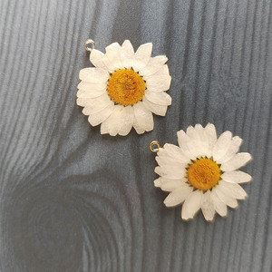 Venta al por mayor de dijes de margaritas secas DIY para collares y pendientes, flor de margarita natural de resina epoxi para decoración de joyas - Product Image 1