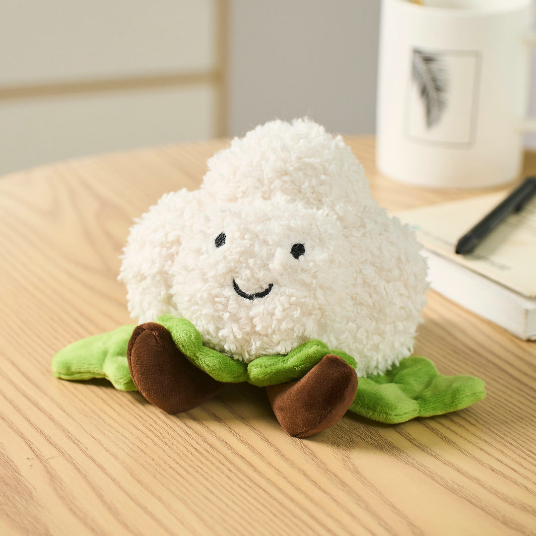Chou fleur - Styles illimités - Boîte présentoir de 12 pièces