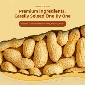 Kacang Panggang Cina Rasa Wasabi dan Berbagai Rasa Lainnya, Kemasan Individu 30g, Camilan Renyah Grosir OEM - Product Image 4