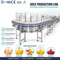 Complete sapverwerkings- en bottelmachine, fruit sap drankenproductielijn, turnkey