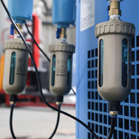 Générateur d'oxygène médical PSA de qualité supérieure 220V pour l'aquaculture, station de remplissage d'oxygène haute pureté avec PLC et longue durée de vie