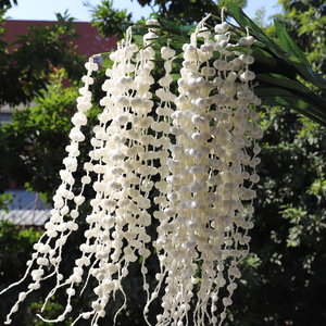 Le <span class=keywords><strong>lacrime</strong></span> degli amanti della schiuma simulata decorazioni per la composizione floreale fiori <span class=keywords><strong>artificiali</strong></span> decorazione di nozze frutta per amanti simulata - Product Image 1