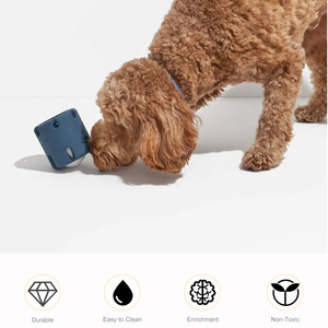 Juguete de goma duradero para masticar perros, respetuoso con el medio ambiente, Limpieza de dientes interactiva, masticadores, juguete para mascotas para movimiento canino - Product Image 4