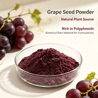 Poudre d'extrait de pépins de raisin en vrac, polyphénols OPC, extrait végétal naturel pour la fabrication de capsules et de comprimés de compléments alimentaires OEM ODM