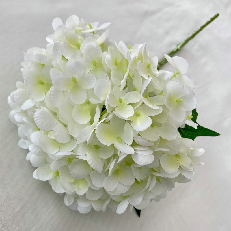 5# blanco