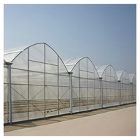 Grande Serre Hydroponique pour la Culture de Fraises, Myrtilles et Légumes