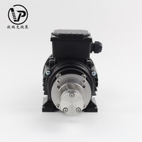 Pompe à engrenages magnétique en acier inoxydable MG300XK AC220V, pompe de transfert de fluides industrielle haute pression