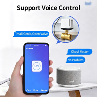 Katup Bola Listrik Kuningan Kontrol Aplikasi WiFi, Pengoperasian Manual, Operasi Ganda, Perpipaan Rumah, Katup Motor Cerdas