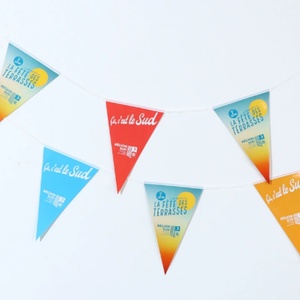 Bandera de PVC Personalizada Popular con Diseño de Bunting - Product Image 5